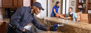 Best Real Estate Pest Inspections  in Lynchburg, OH